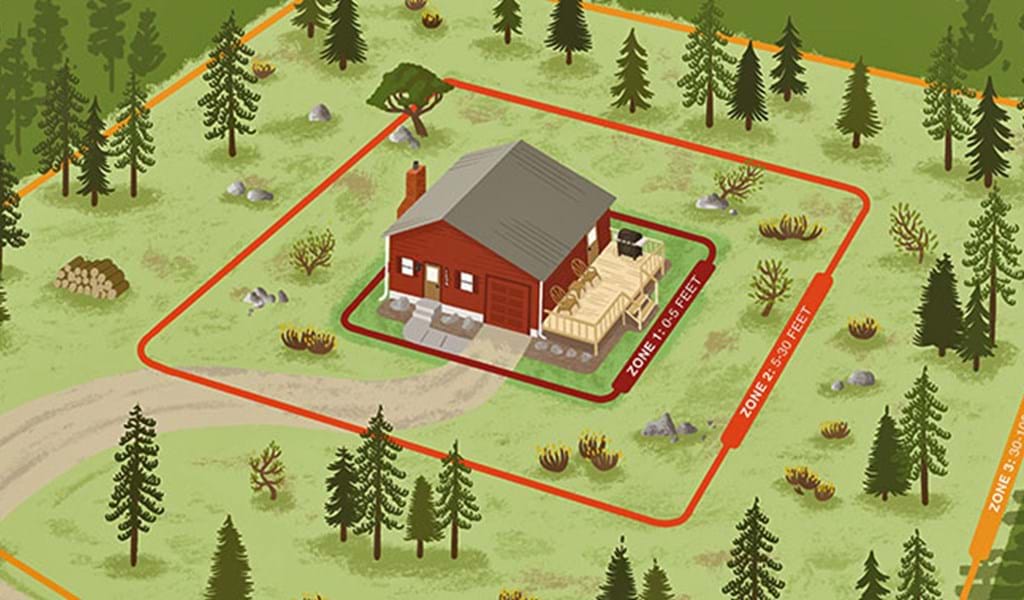 Defensible Space infographic
